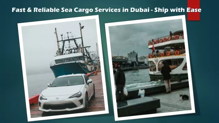 fast reliable sea cargo services in dubai ship