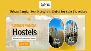 Urban Panda Hostel_ Top Picks for Solo Travellers in Dubai