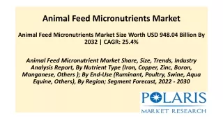 Animal Feed Micronutrient Market