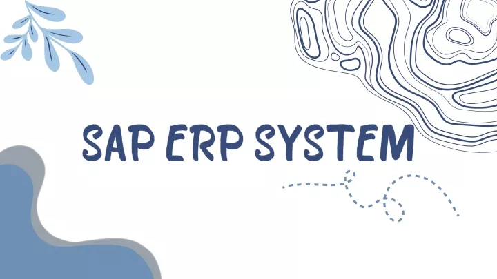 sap erp system