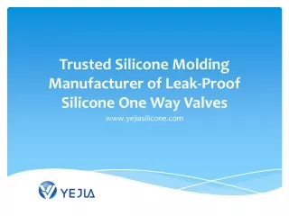 Trusted Silicone Molding Manufacturer of Leak-Proof Silicone One Way Valves