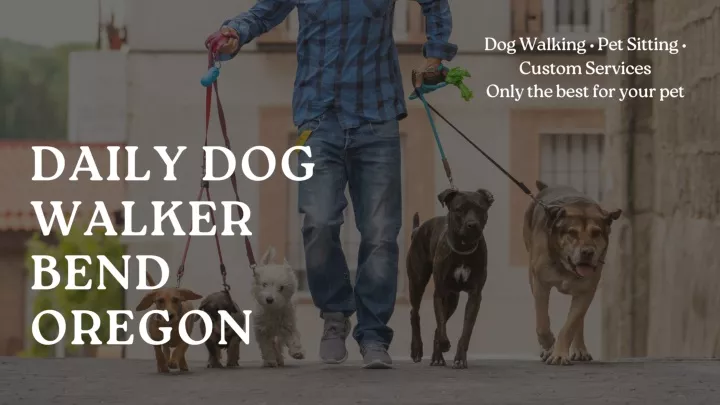 dog walking pet sitting custom services only