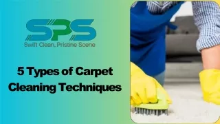 5 types of carpet cleaning techniques