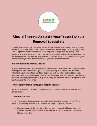 Mould Experts Adelaide Your Trusted Mould Removal Specialists