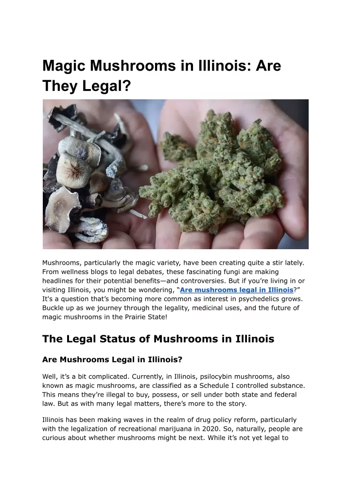 magic mushrooms in illinois are they legal