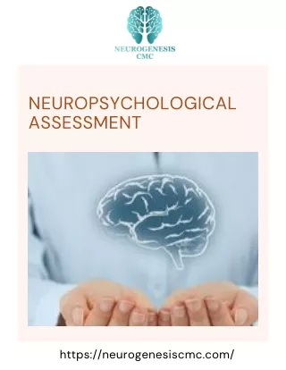 Gain Cognitive Clarity with Neuropsychological Assessment