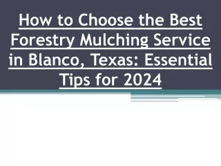 How to Choose the Best Forestry Mulching Service in Blanco, Texas: Essential Tip