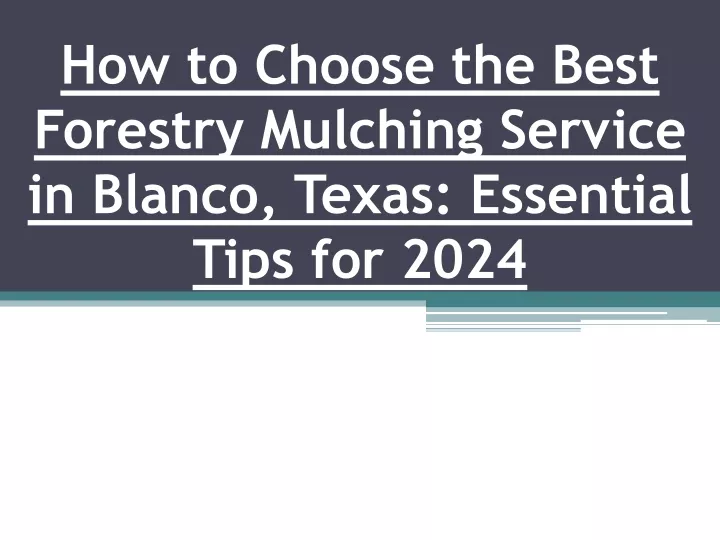 how to choose the best forestry mulching service in blanco texas essential tips for 2024