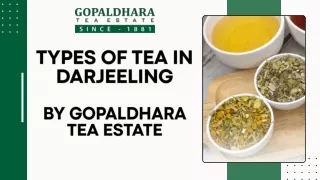 Types of Tea in Darjeeling By Gopaldhara Tea Estate