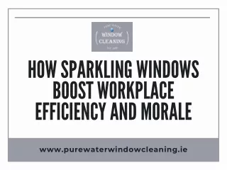 How Sparkling Windows Boost Workplace Efficiency and Morale