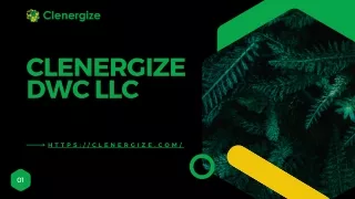 clenergize dwc llc