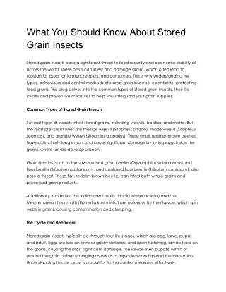 What You Should Know About Stored Grain Insects