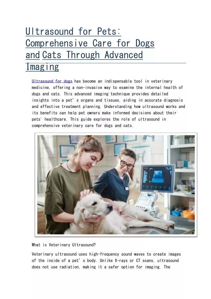 ultrasound for pets comprehensive care for dogs