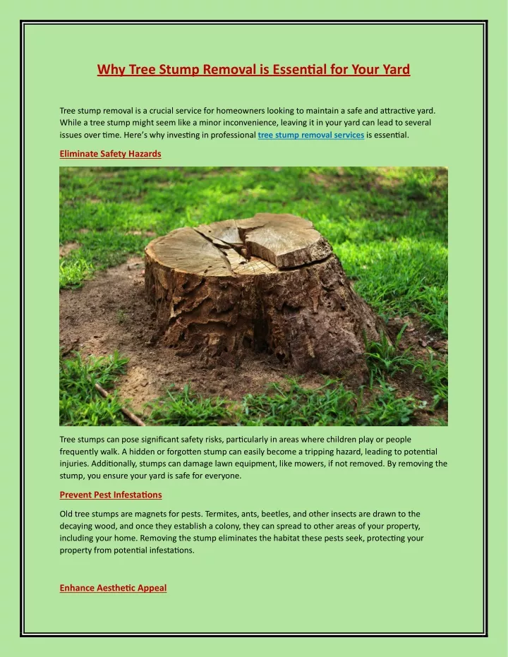 why tree stump removal is essential for your yard