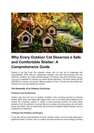 why every outdoor cat deserves a safe