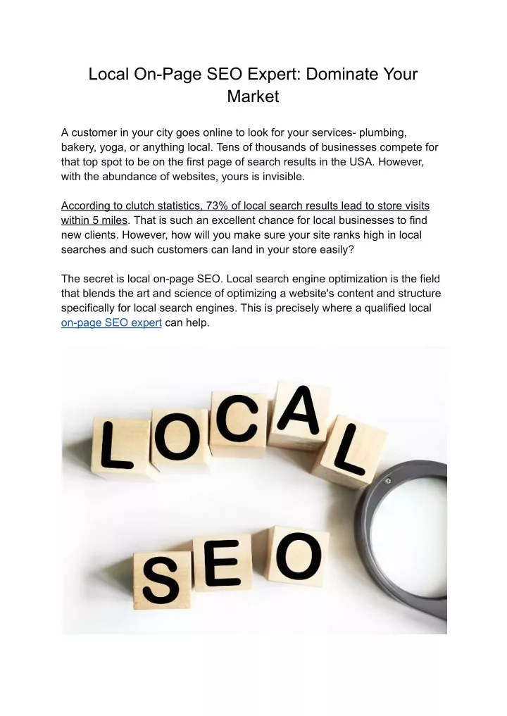 local on page seo expert dominate your market