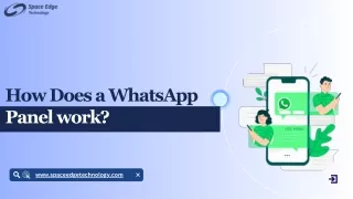 how does a whatsapp panel work