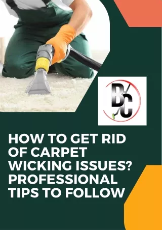 How to Get Rid of Carpet Wicking Issues Professional Tips to Follow