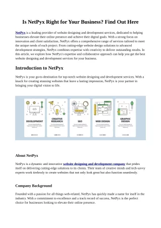 Is NetPyx Right for Your Business? Find Out Here