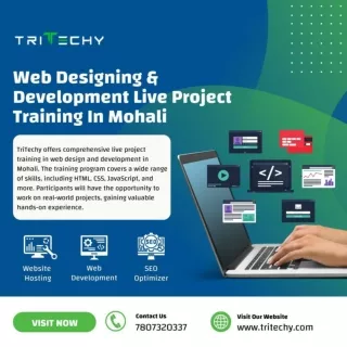 Web Designing & Development Live Project Training In Mohali