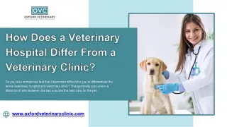 How Does a Veterinary Hospital Differ From a Veterinary Clinic