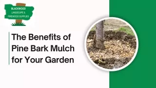 The Benefits of Pine Bark Mulch for Your Garden