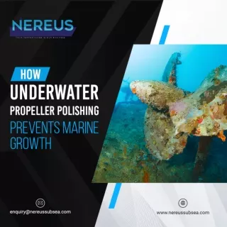 Underwater Propeller Polishing Services - Nereus Subsea