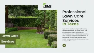Professional Lawn Care Services In Texas | CLC Landscaping