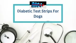 Essential Diabetic Testing Supplies for Dogs