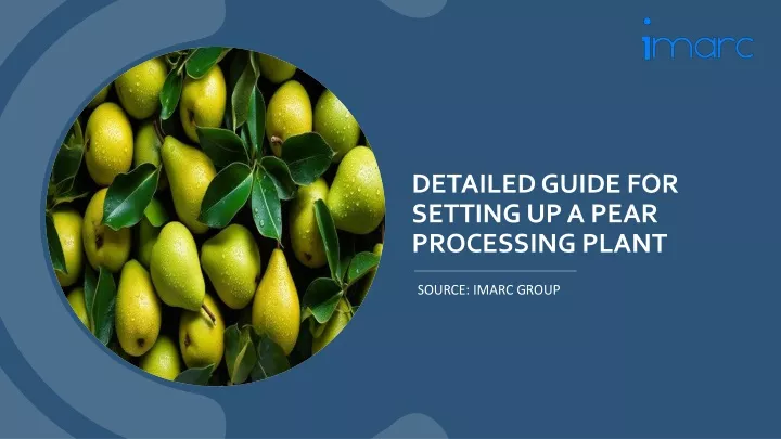 detailed guide for setting up a pear processing