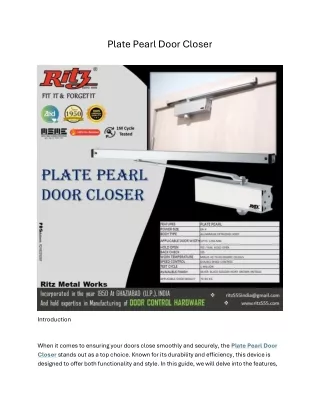 Plate Pearl Door Closer