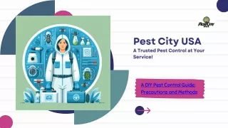 A DIY Pest Control Guide Precautions and Methods