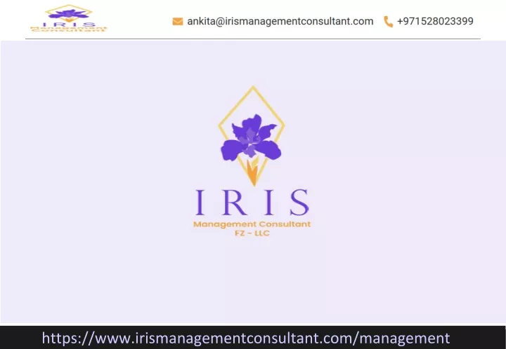 https www irismanagementconsultant com management