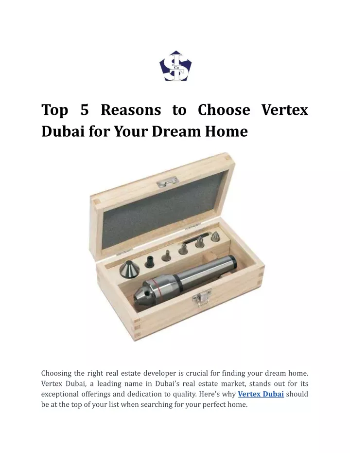 top 5 reasons to choose vertex dubai for your