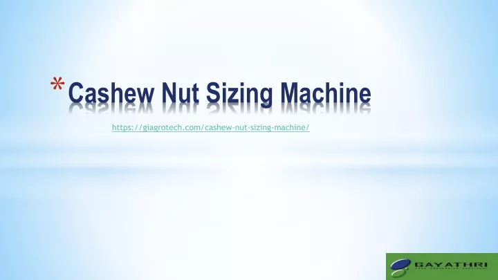 cashew nut sizing machine