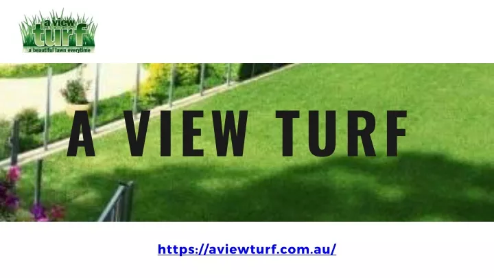 a view turf