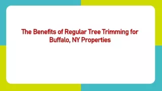 The Benefits of Regular Tree Trimming for Buffalo, NY Properties