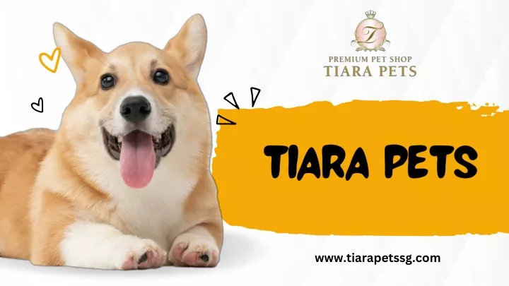 tiara pets