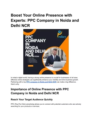PPC Company in Noida and Delhi NCR
