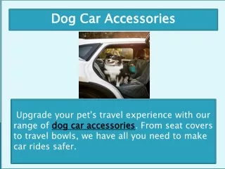 Dog Car Accessories