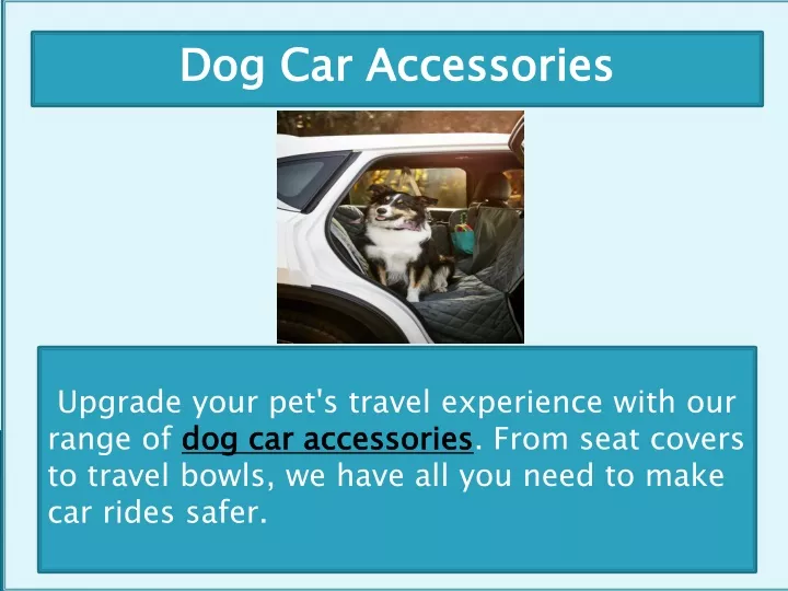 dog car accessories