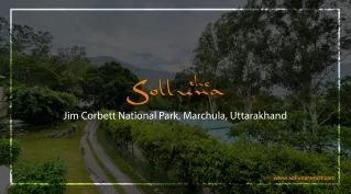 best resorts in Jim Corbett