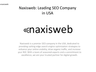 naxisweb leading seo company in usa