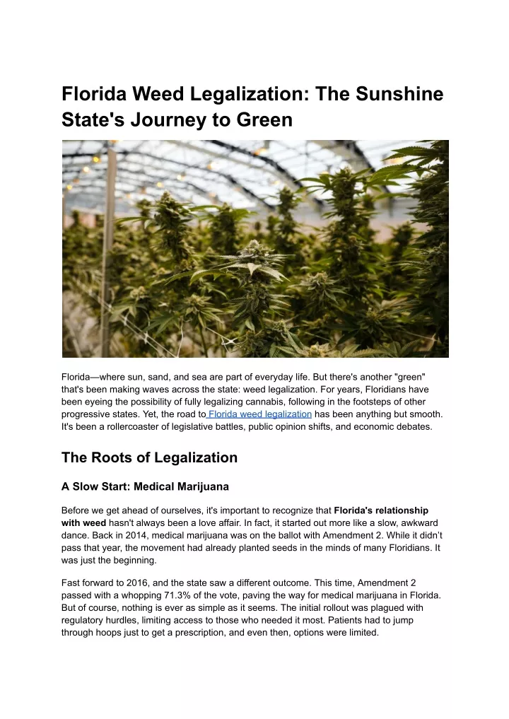 florida weed legalization the sunshine state