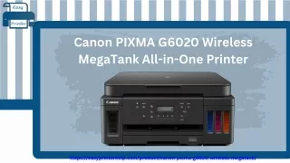 Canon PIXMA G6020 Wireless MegaTank All-in-One Printer (1)