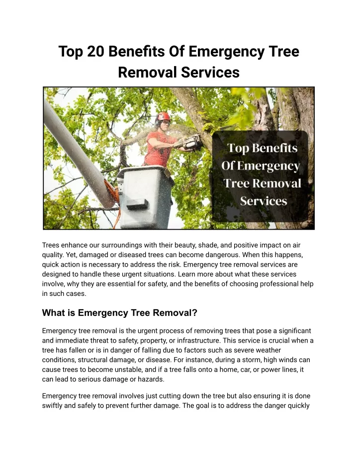 top 20 benefits of emergency tree removal services