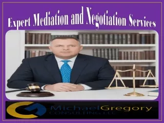 Expert Mediation and Negotiation Services