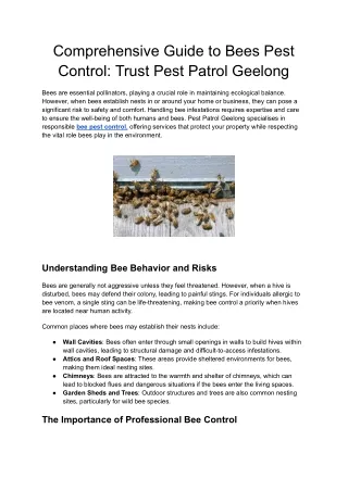 Comprehensive Guide to Bees Pest Control_ Trust Pest Patrol Geelong