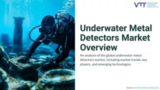 Underwater Metal Detectors Market