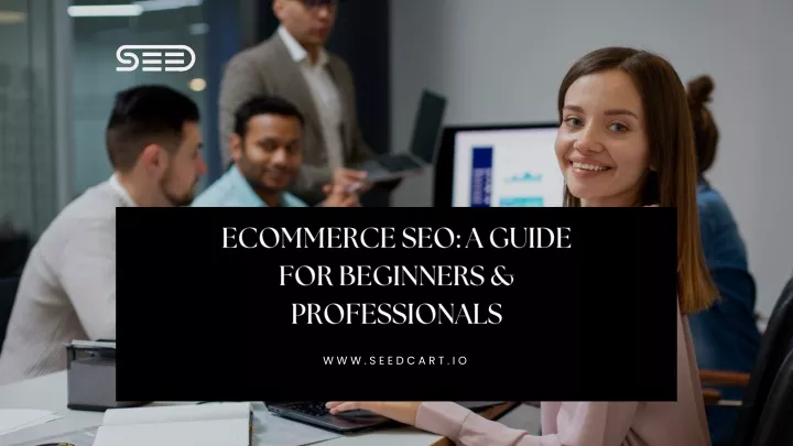 ecommerce seo a guide for beginners professionals